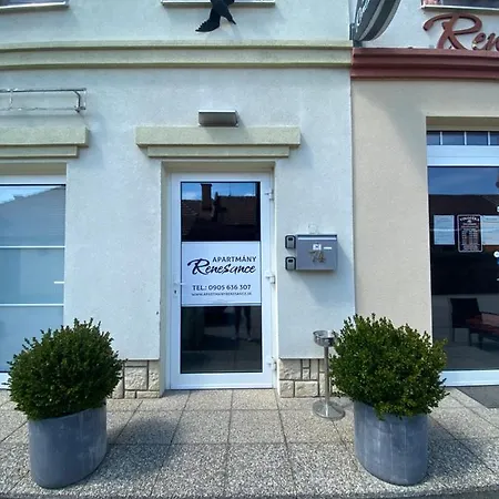Apartment Renesance