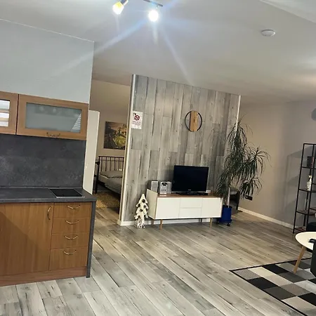 Apartment Renesance *